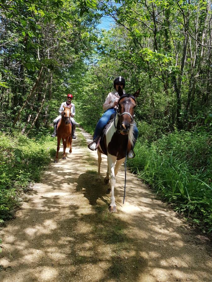 Gite Equestre Domaine Des Crins - Monpazier Capdrot Luaran gambar