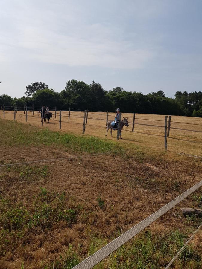 Gite Equestre Domaine Des Crins - Monpazier Capdrot Luaran gambar