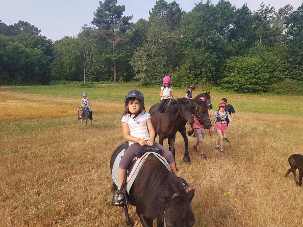 Gite Equestre Domaine Des Crins - Monpazier Capdrot Luaran gambar
