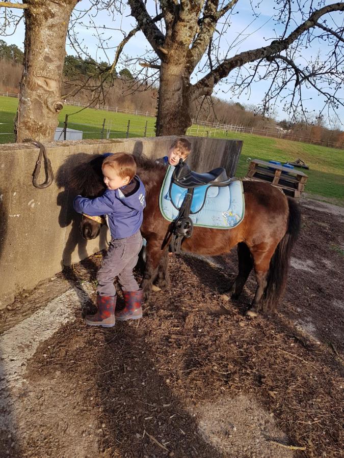 Gite Equestre Domaine Des Crins - Monpazier Capdrot Luaran gambar