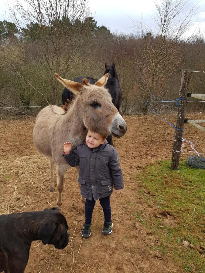 Gite Equestre Domaine Des Crins - Monpazier Capdrot Luaran gambar