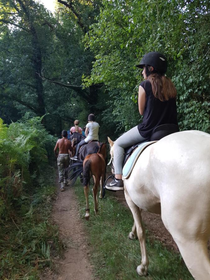 Gite Equestre Domaine Des Crins - Monpazier Capdrot Luaran gambar