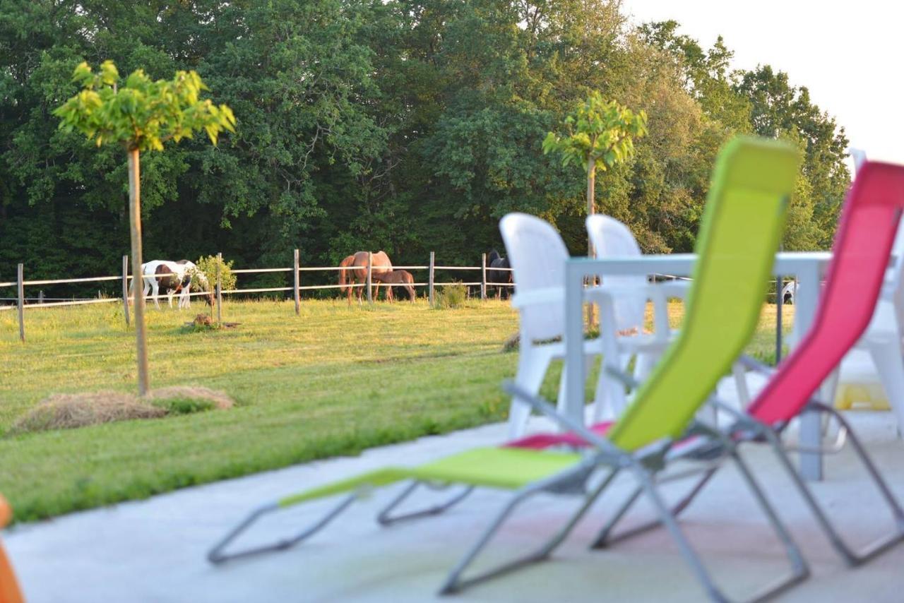 Gite Equestre Domaine Des Crins - Monpazier Capdrot Luaran gambar