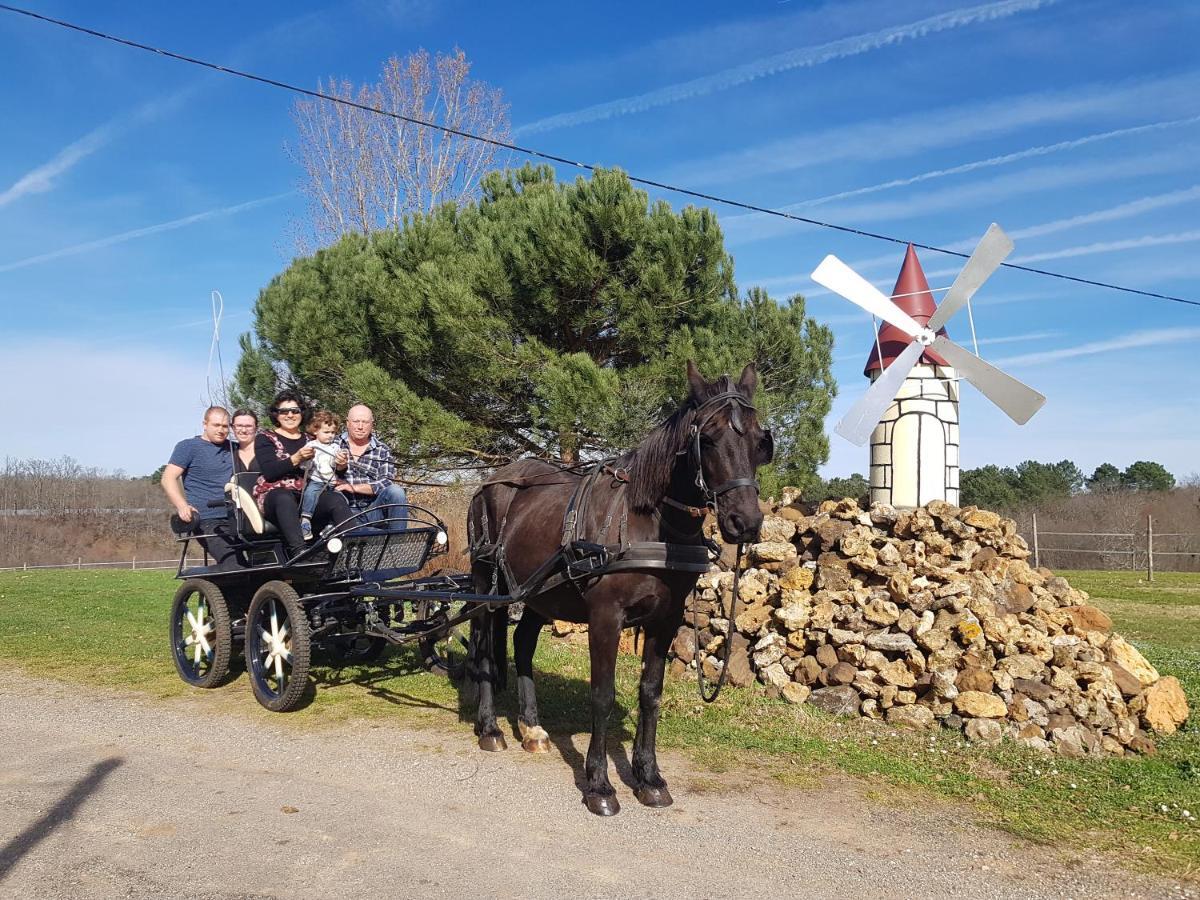 Gite Equestre Domaine Des Crins - Monpazier Capdrot Luaran gambar