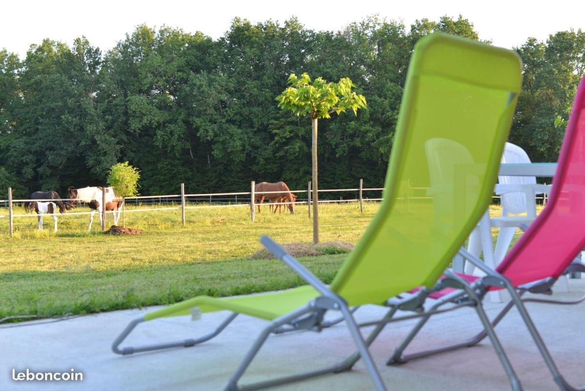 Gite Equestre Domaine Des Crins - Monpazier Capdrot Luaran gambar
